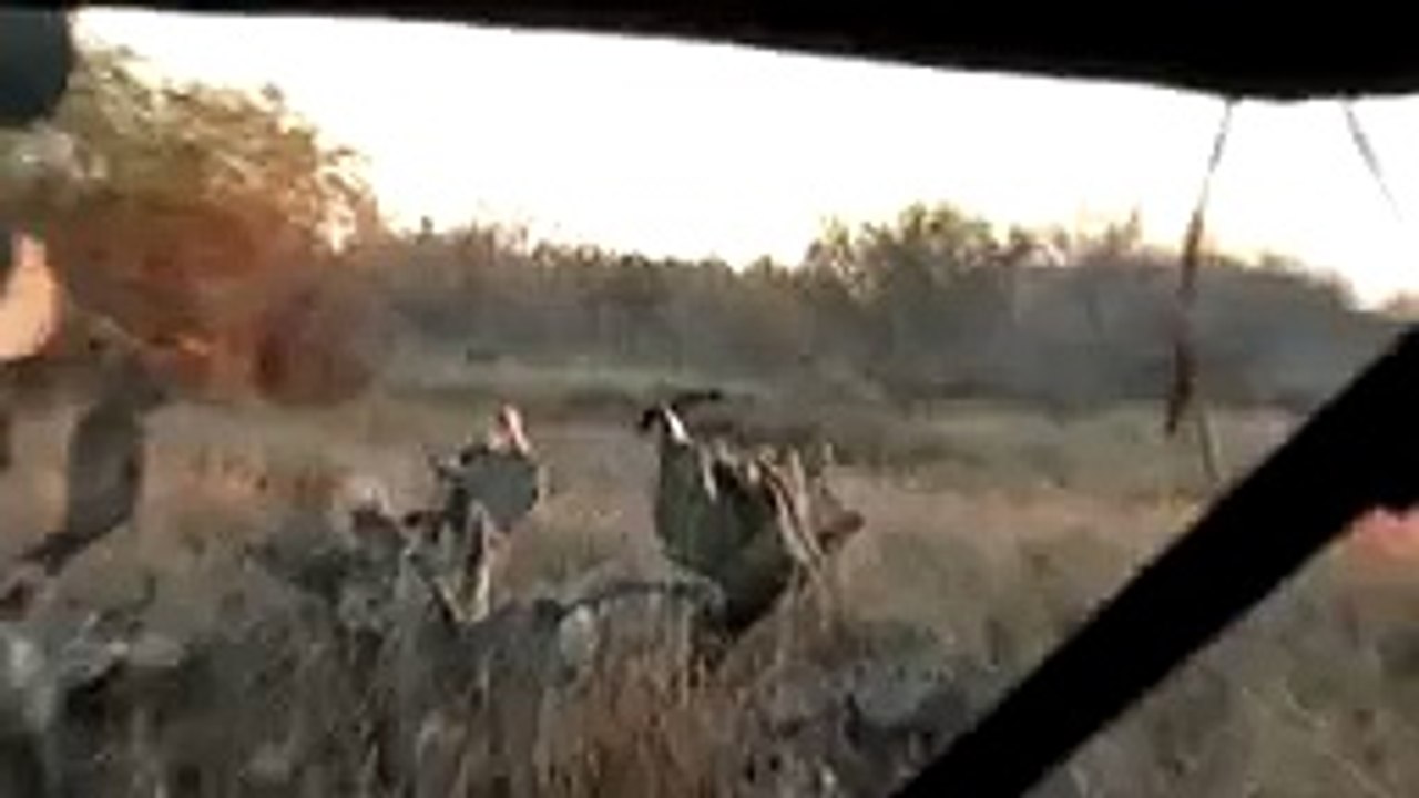 Javelina Hunting