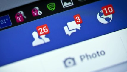 EL LEON NEGRO Y EL LEON BLANCO ¿REALIDAD O MITO? LA VERDAD