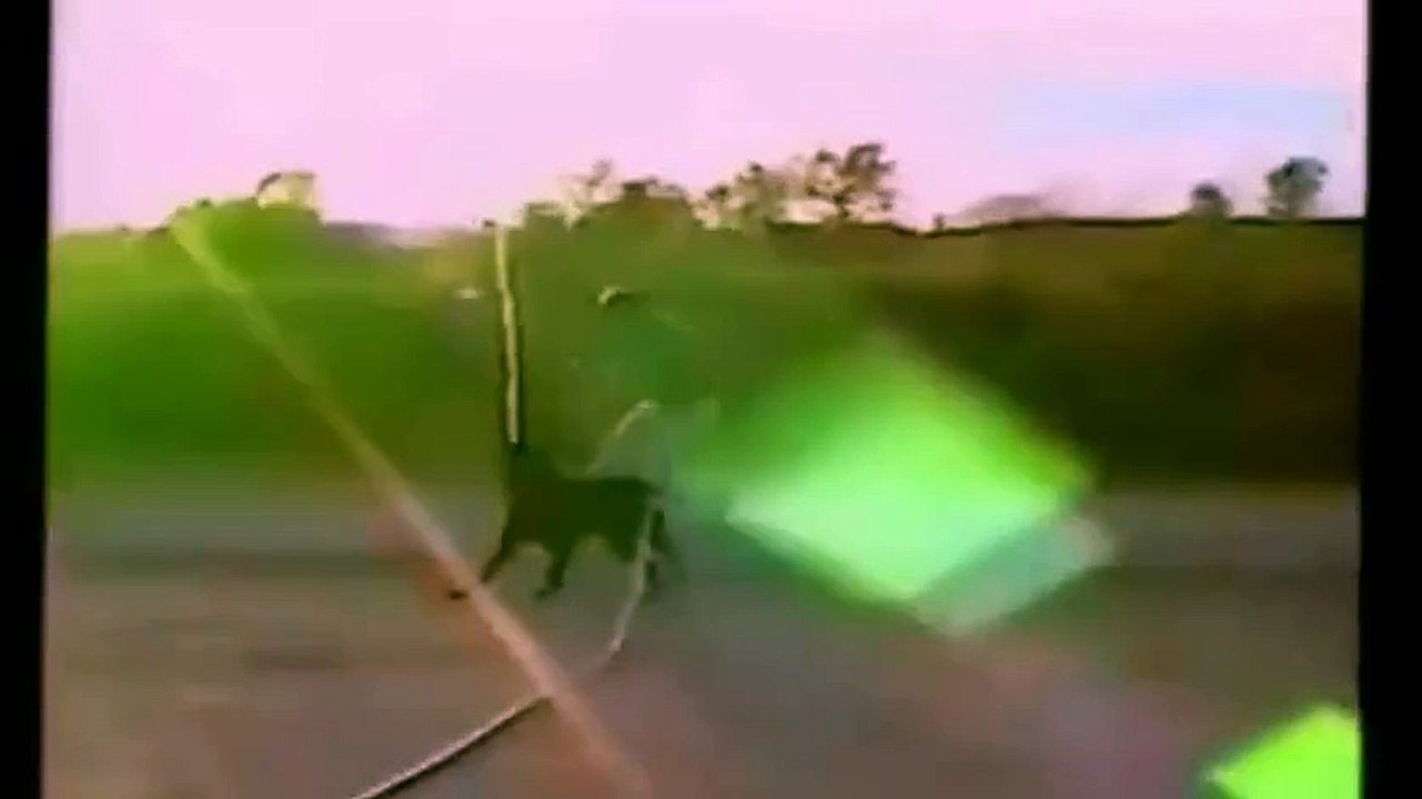 most funny videos ever seen   Latest Whatsapp Funny Video Comedy Clips 2015  - 16