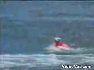 pete the super skating dog