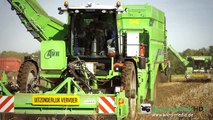 NEW AVR Puma 3 | Fendt   John Deere Tractors with Krampe Trailers | Traktoren ernten Karto