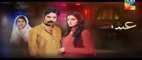 Ishq e Benaam Episode 33 Promo HUM TV Drama 22 Dec 2015