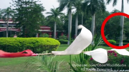 Caught On Camera Real Ghost climbing the tree, Shocking Footage