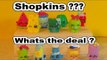SHOPKINS, Whats The Deal With SHOPKINS    for Parents and Kids   lol