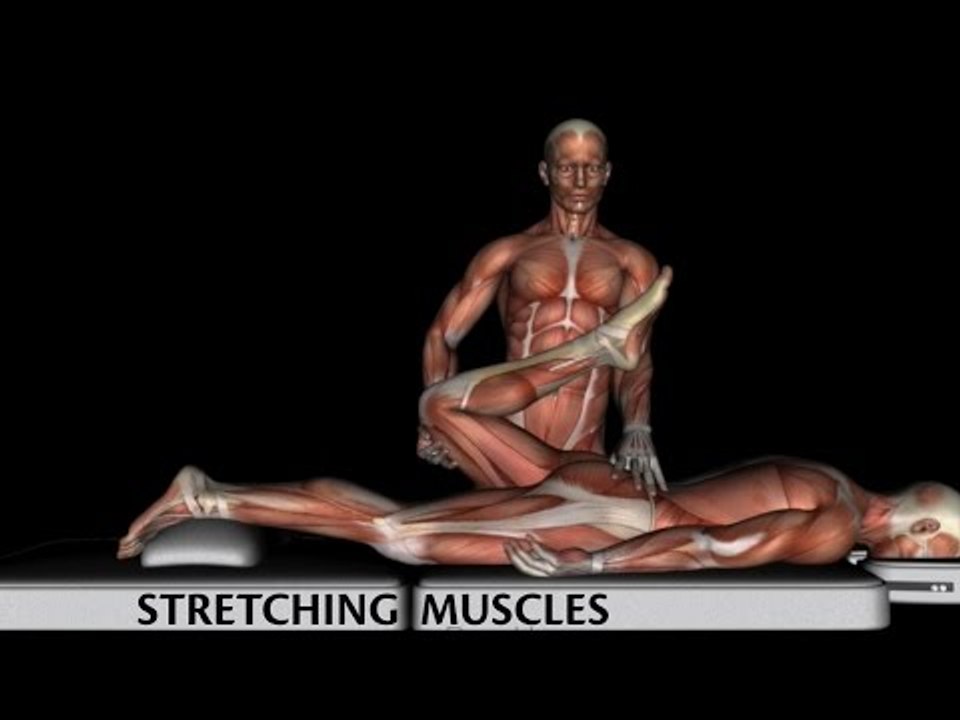 Stretching Muscles