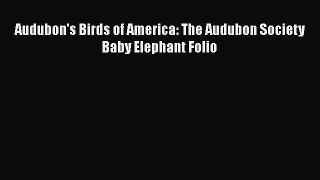 PDF Download Audubon's Birds of America: The Audubon Society Baby Elephant Folio Read Online