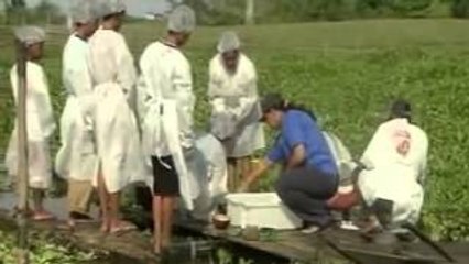 Rzeki i zycie Amazonka [Lektor PL][Film Dokumentalny]