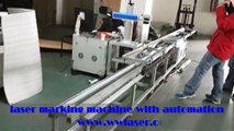 Automation for fiber laser marking machine