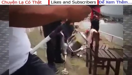 CON CÁ RÔ CHÚA Ở TRUNG QUỐC - Chuyện lạ có thật