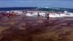 Rogue wave wipes out swimmers in Sydney, Australia