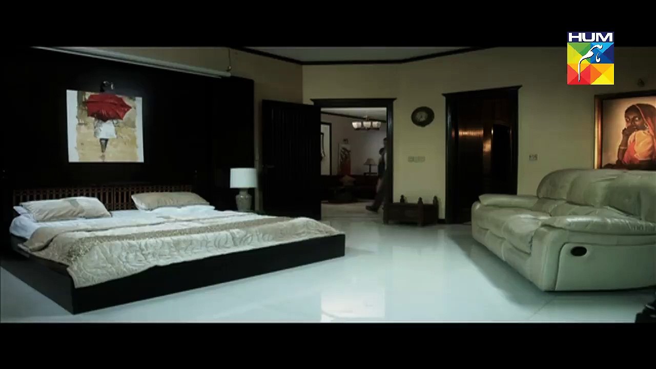 'Pakeezah'Aamina Sheikh upcoming hum tv drama promo 2