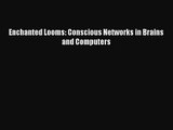 [PDF Download] Enchanted Looms: Conscious Networks in Brains and Computers [Download] Online