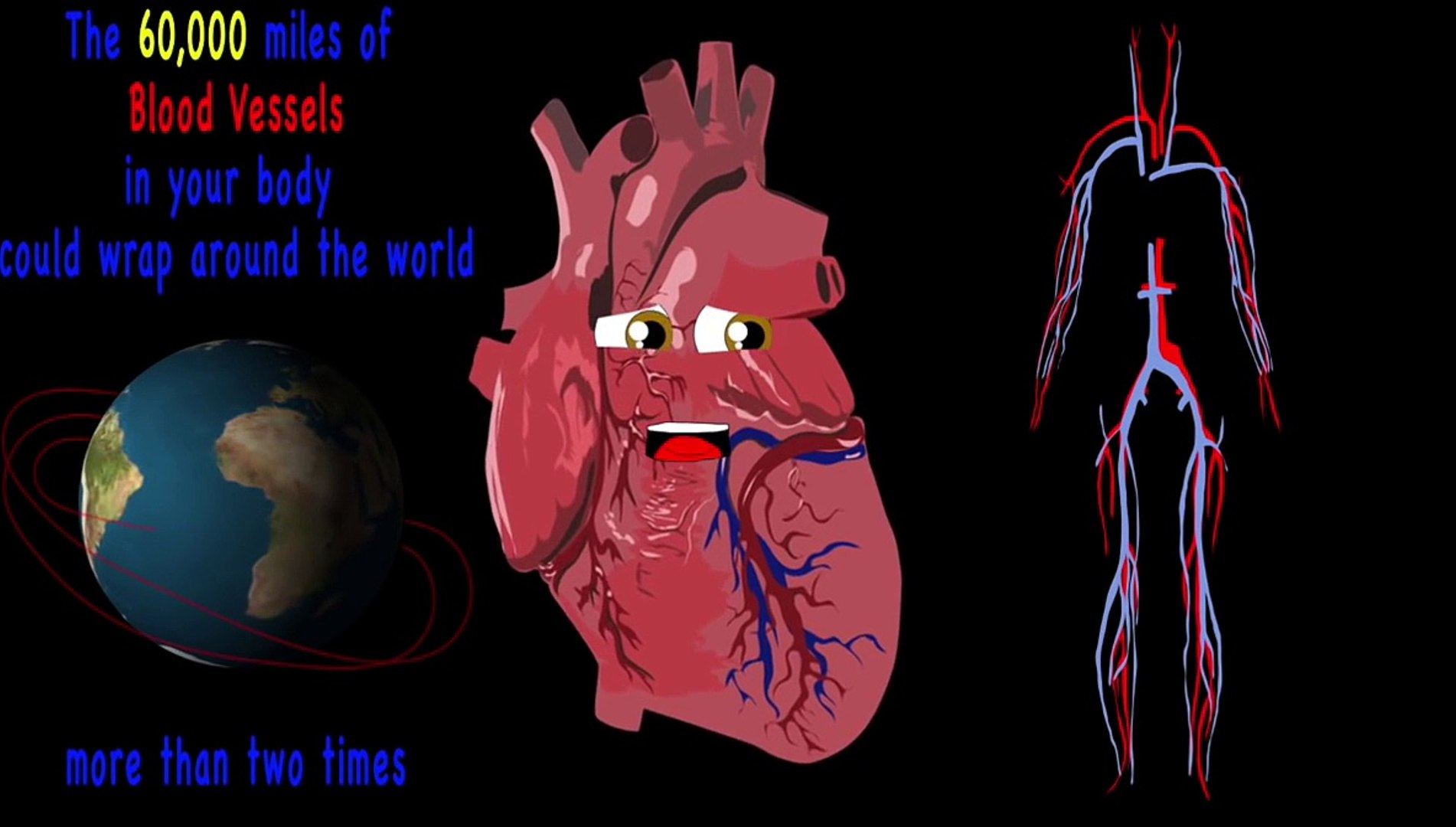 The Human Body for Kids/Learn about the Human Body for Children/Heart Song  for Kids - Dailymotion Video