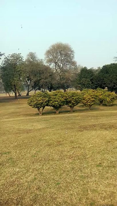 enjoying in park