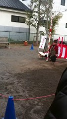 Trained Monkey walking on legs