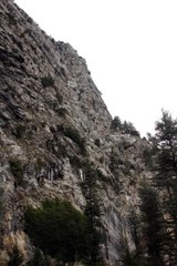 Keçi Kurtarmaya Çalışan İki Kardeş Uçurumdan Düştü, Biri Öldü, Diğeri Yaralandı