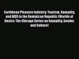 PDF Download Caribbean Pleasure Industry: Tourism Sexuality and AIDS in the Dominican Republic