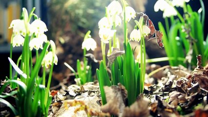 Doğadan Gelen Güzellik