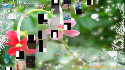 Travellers of Khoaviet Travel in 2012