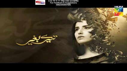 Tere Baghair Hum Tv Drama (Next Episode 13 Promo) on (14 January 2016)