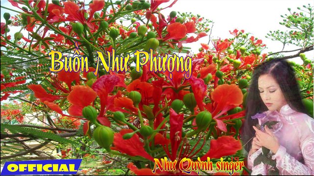 Buồn Như Phượng, Như Quỳnh Singer, Nhạc trữ tình hay nhất của Như Quỳnh