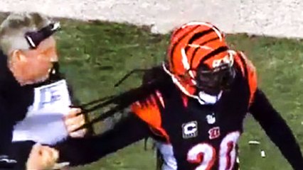 Steelers Assistant Pulls Reggie Nelson’s Hair