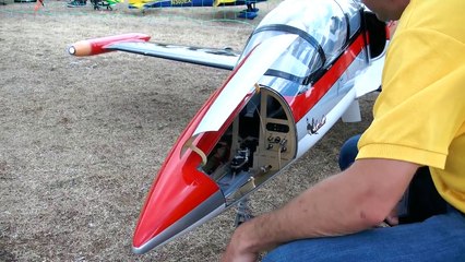 L 39 ALBATROS GIGANTIC RC TURBINE MODEL JET FLIGHT / Meeting Damelang June 2016 *1080p50fp