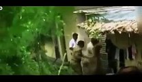 Tiger Attacks Villagers