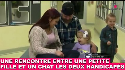 Une rencontre entre une petite fille et un chat, les deux handicapés ! À suivre dans la minute chat #95