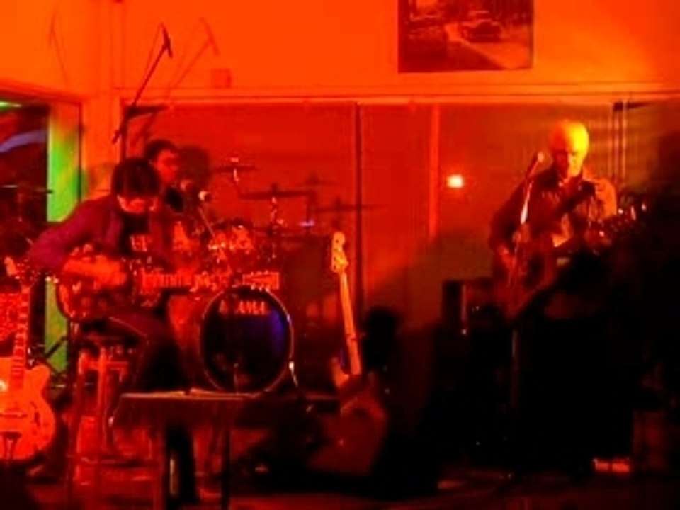Alligator blues
