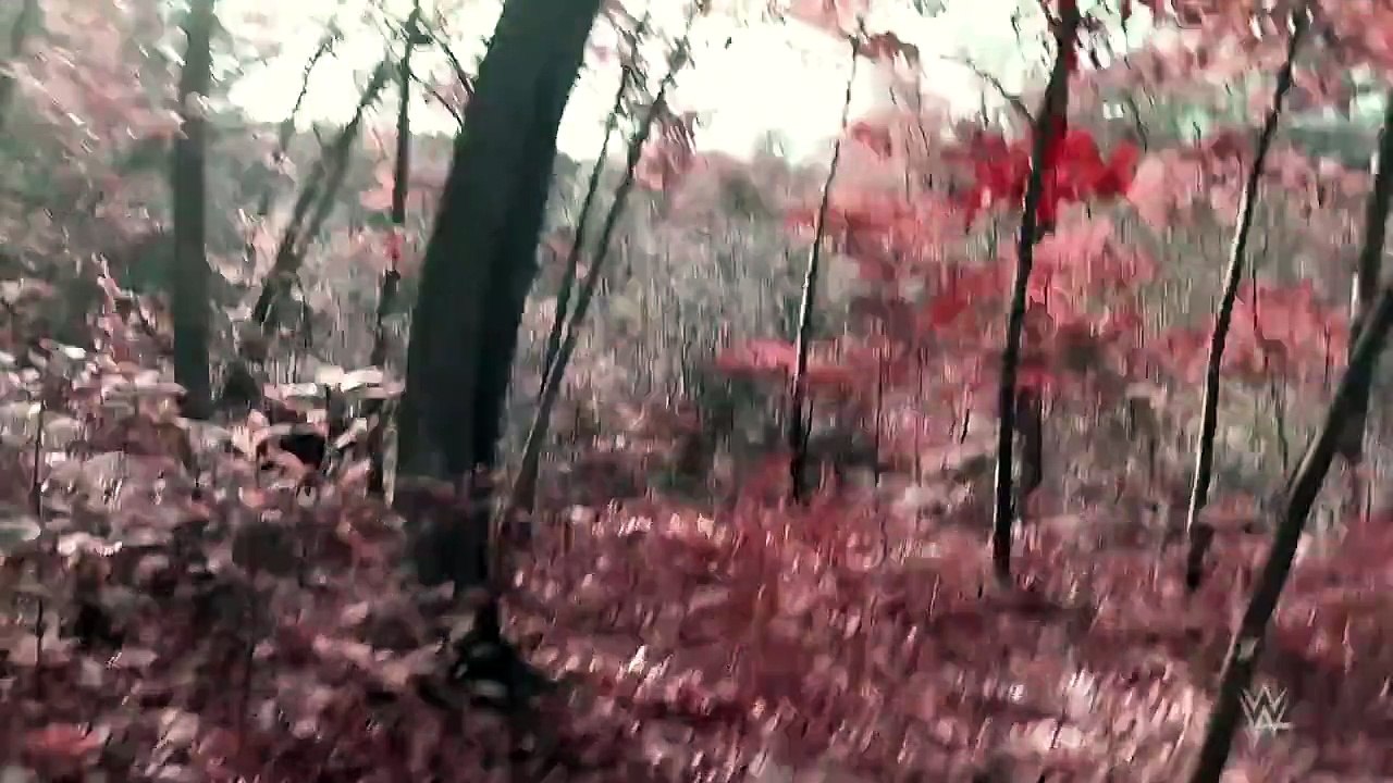 Bray Wyatt and the man in the woods: Superstar Ghost Stories