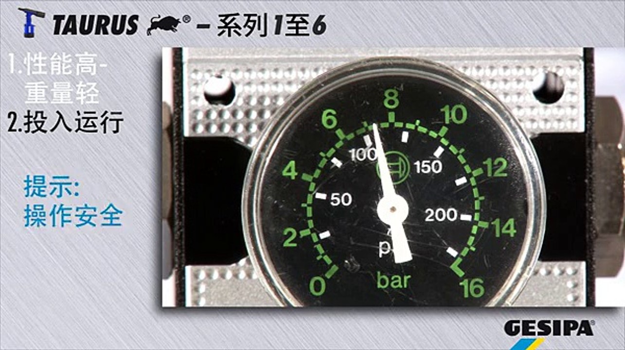GESIPA TAURUS: Maintenance (Chinese)