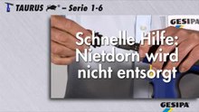 GESIPA TAURUS: Nietdorn wird nicht entsorgt (Deutsch)