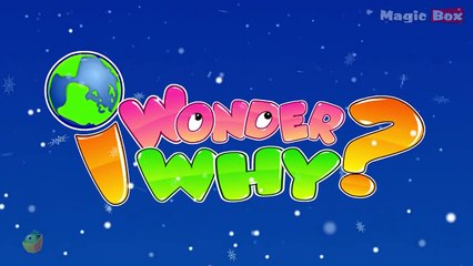 Why Is Snow White In Colour? - I Wonder Why - Amazing & Interesting Fun Facts Video For Kids