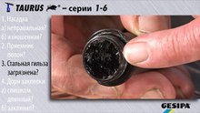GESIPA TAURUS: Nietdorn wird nicht entsorgt (Russian)