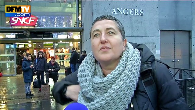 La SNCF déclare la guerre aux fraudeurs avec des nouveaux portiques