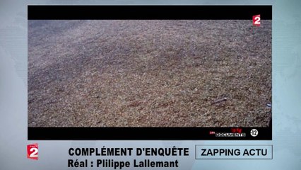 La vidéo glaçante de la tuerie à Charlie Hebdo filmée par des journalistes situés sur le toit de l'immeuble