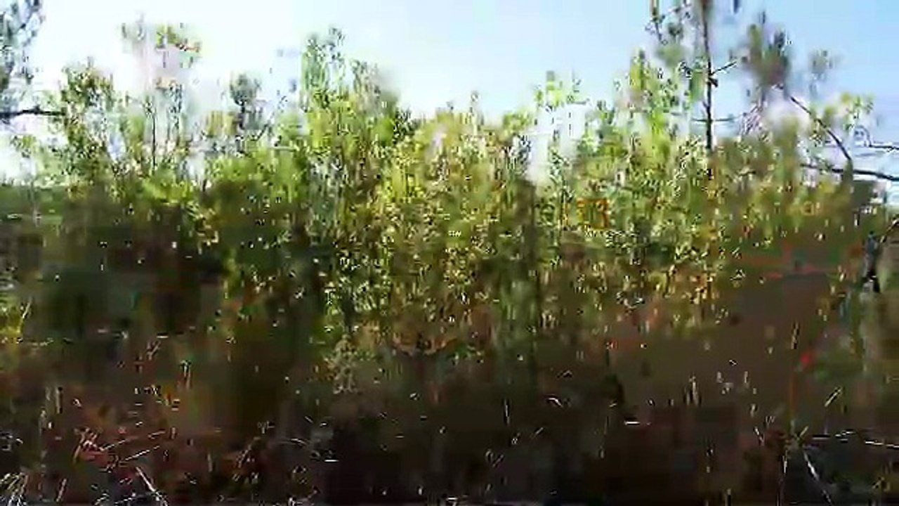 Chantier d'écovolontariat en Ria d'Etel - Al'Terre Breizh & Syndicat Mixte de la Ria d'Etel