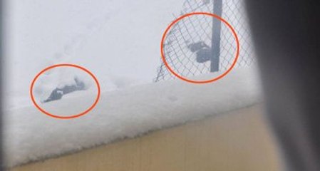 Şırnak'ta Vurulan 2 Kişinin Cenazesi 8 Gün Yerde Kaldı