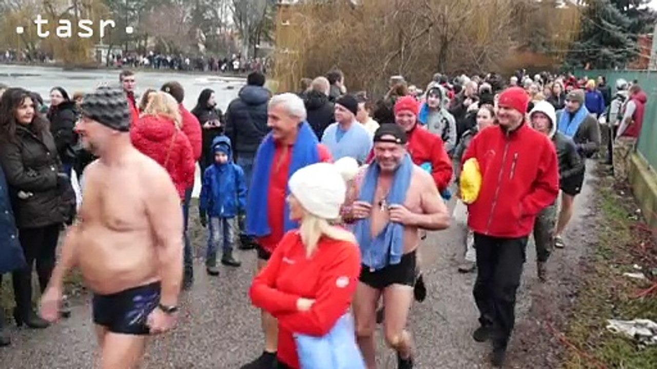 V Nitre sa stretli ľadové medvede