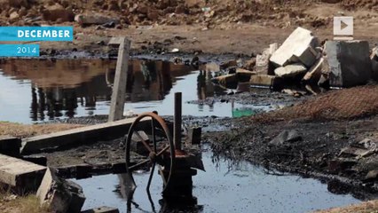 ISIS's immigration operation exposed