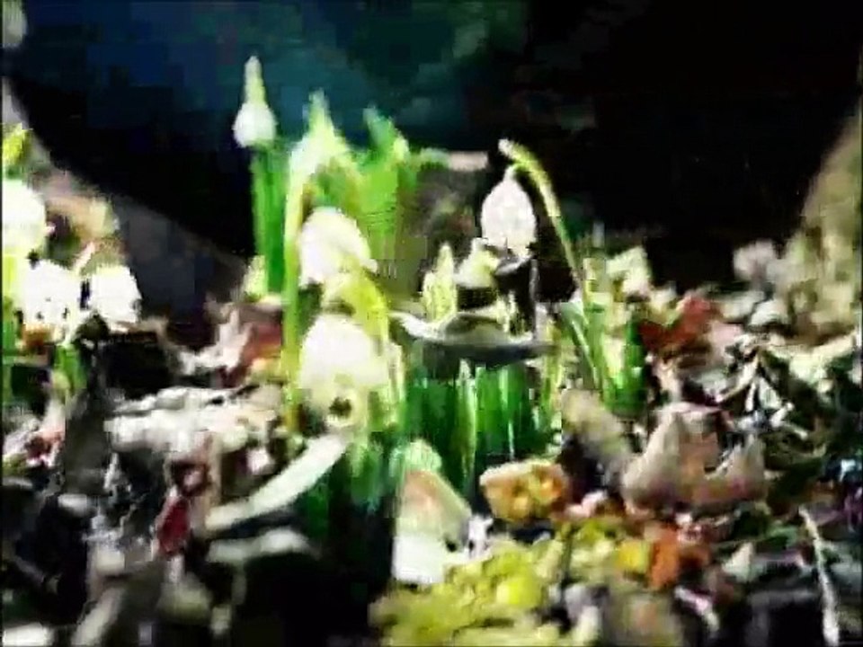 Baba Vanga Kehanetleri 2016- 5079