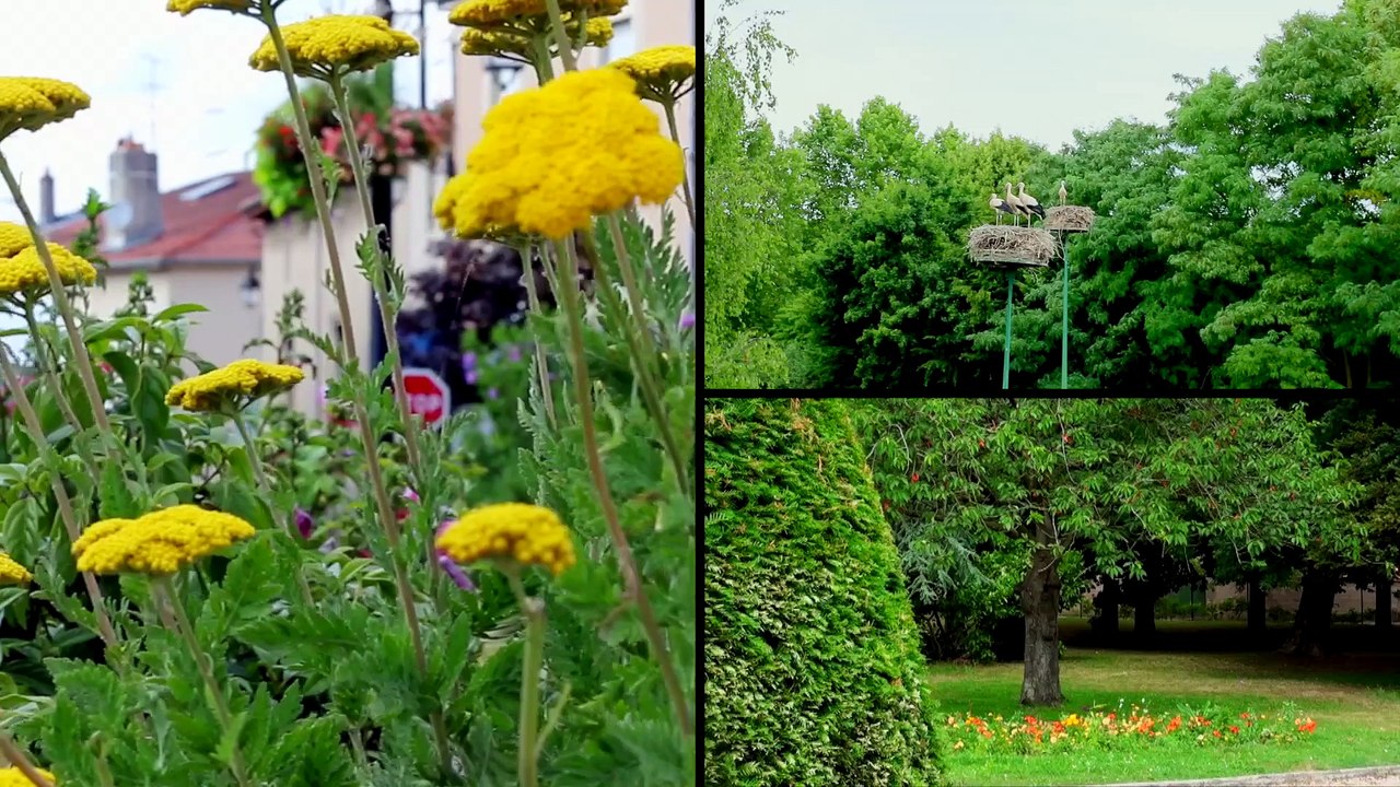 CLIP PROMOTIONNEL VILLE DE ST NICOLAS DE PORT - Lorraine