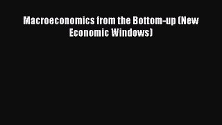 PDF Download Macroeconomics from the Bottom-up (New Economic Windows) Read Full Ebook