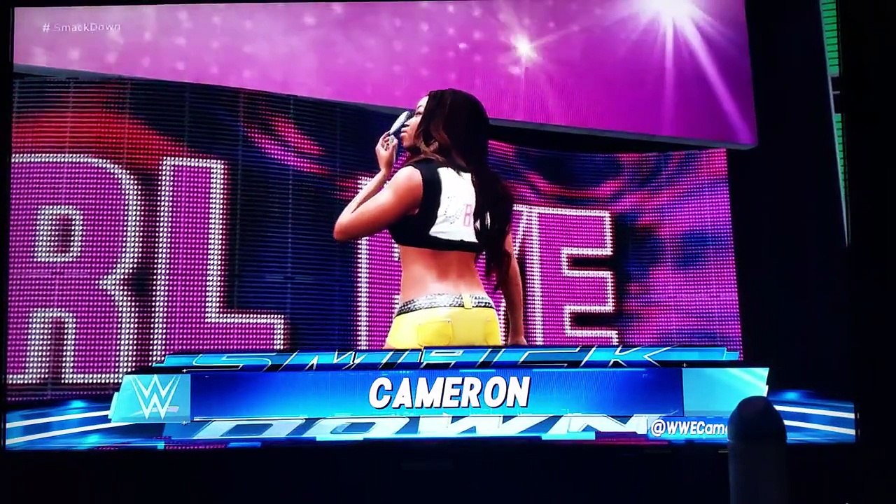 WWE DIVAS Cameron vs. Harley Quinn PTDC LVL1