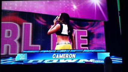 WWE DIVAS Cameron vs. Harley Quinn PTDC LVL1