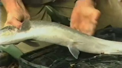 Go Fishing with John Wilson - The King of Fish (Salmon)