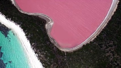 Pink Water Lake in western Australia ll must watch