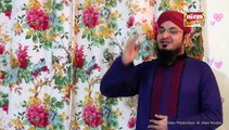 Mein Haan Nokar Muhammad Day Dar Da (Punjabi Naat) l Syed Rehan Qadri