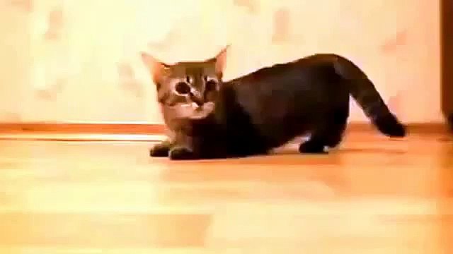 Yok Yere Gittin Canımın İçiydin TROLL Versiyonları